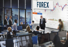 Top interesujących faktów z historii Forex