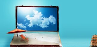 Co to są plany zawodowe?