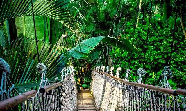 Czy opłaca się robić kursy Google?