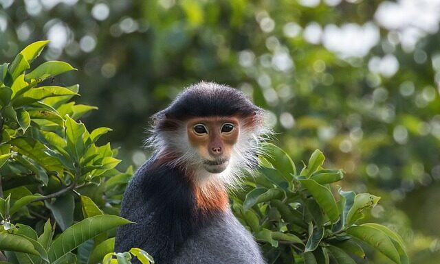 Ile jest rodzajów kart?