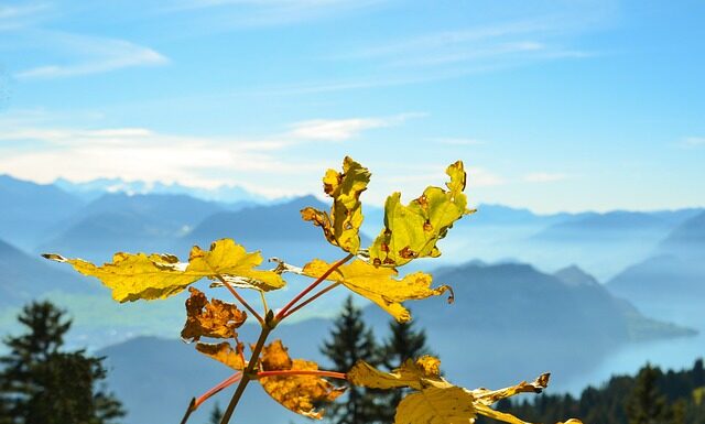 Czy komornik ma prawo wejść na konto żony? Czy komornik ma prawo wejść na konto żony?
