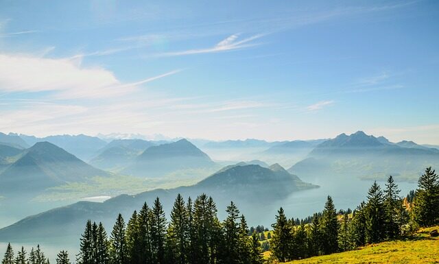 W jakim banku komornik nie wejdzie na konto? W jakim banku komornik nie wejdzie na konto?