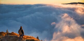 Jakie cechy powinien mieć dobry obserwator?