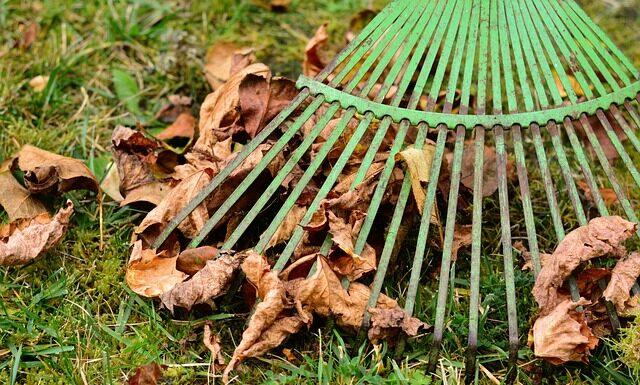 Ile bank pobiera prowizji za płatność karta?