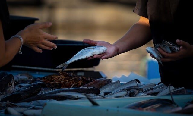 Jak sprzedawać swój produkt w Żabce?