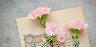 Co to jest poczta Home?