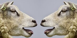 Jakie czynniki utrudniają proces komunikowania się z pacjentem z zaburzeniami psychicznymi?