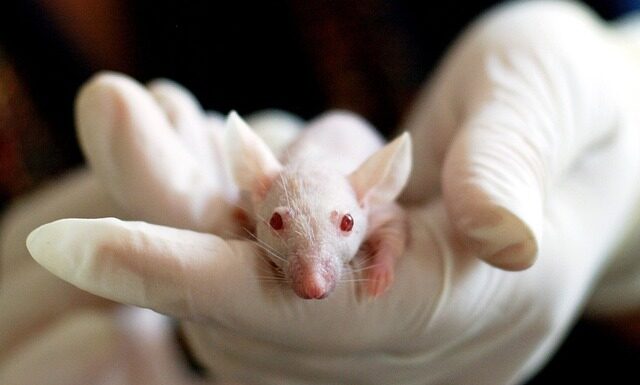 Czy naukowiec to zawód?