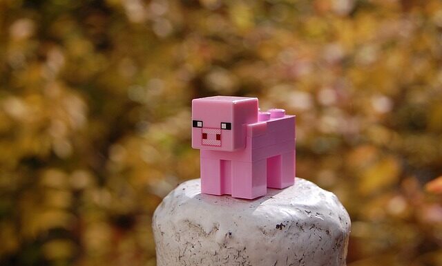 Co to znaczy Minecraft po polsku?