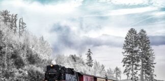 Jak dzielimy transport drogowy?