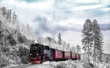 Jak dzielimy transport drogowy? Jak dzielimy transport drogowy?