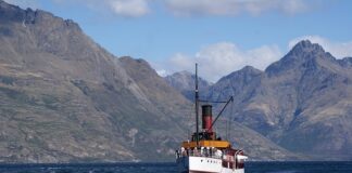 Ile trzeba mieć obserwacji na TIK toku żeby zarabiać?