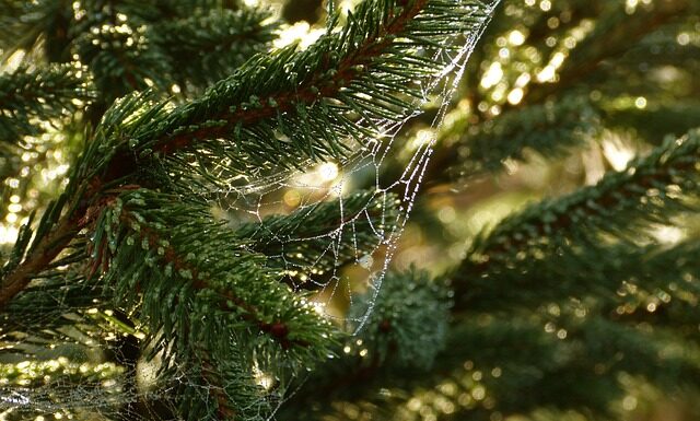 Kto określa potrzeby klienta? Kto określa potrzeby klienta?