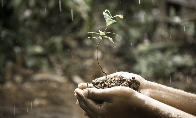 Czym jest rozwój firmy?