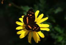 Czym zajmuje się sektor publiczny?