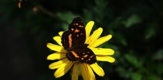 Czym zajmuje się sektor publiczny?