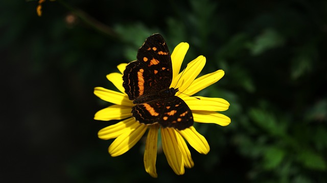 Czym zajmuje się sektor publiczny?