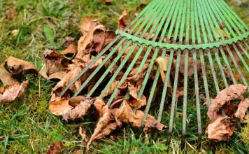 Czy bank PKO BP pobiera prowizję?