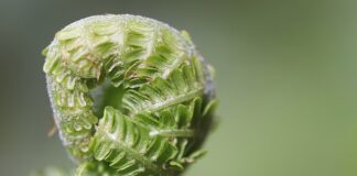 Jak rozwijać wyobraźnię u dorosłych?