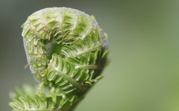 Jak rozwijać wyobraźnię u dorosłych? Jak rozwijać wyobraźnię u dorosłych?