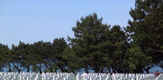 Ile czasu na złożenie planu rozwoju zawodowego?