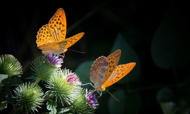 Ile powinno być masy kostnej?