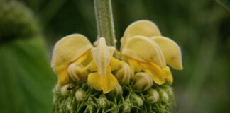 Czym się różni brand od marki?