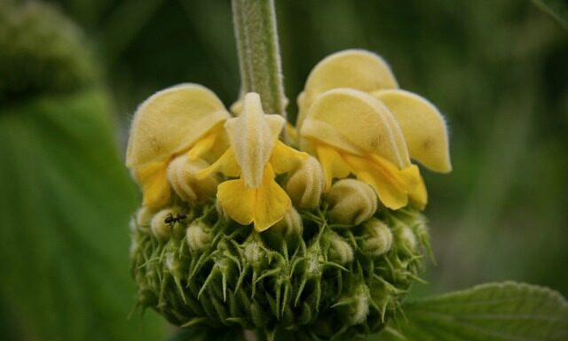Czym się różni brand od marki?