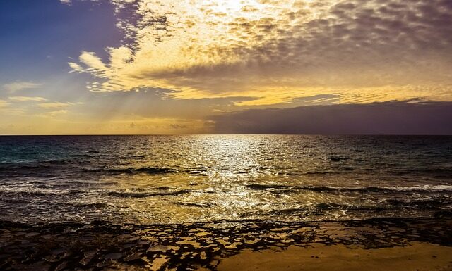 Jak być miłym dla klientów? Jak być miłym dla klientów?
