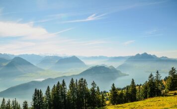 Czy komornik widzi konto Zen?