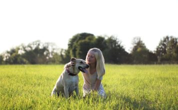 Ile pieniędzy ma friz?