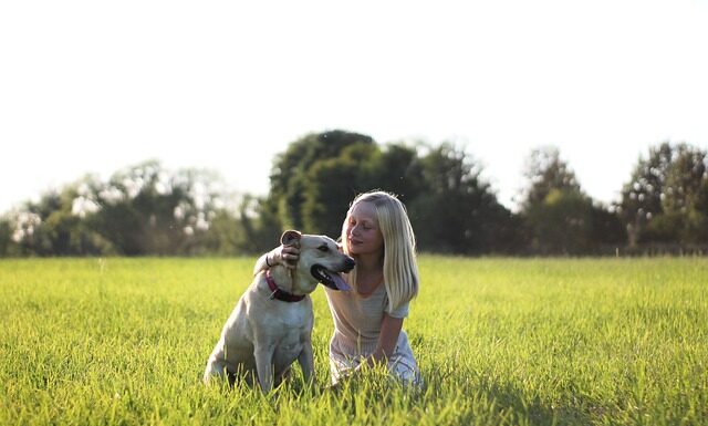 Ile pieniędzy ma friz?