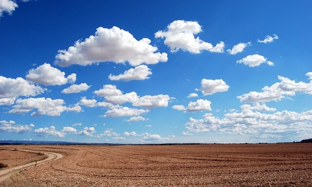 Jakie mogą być słabe strony pracownika?