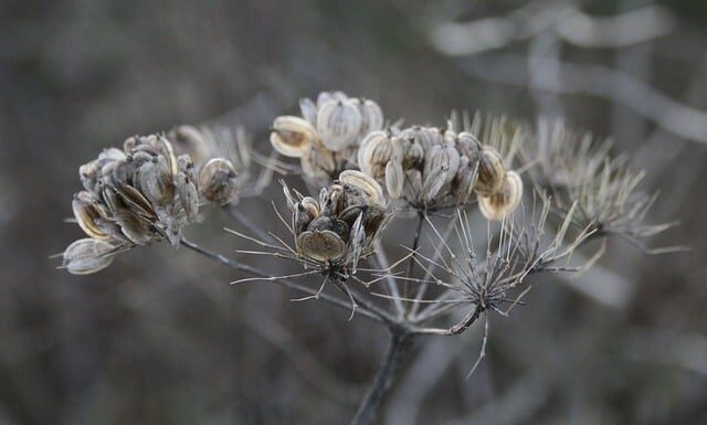 Jak się robi stojak na zbroję?
