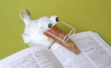 Jakie języki na lingwistyce?
