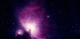 O co chodzi z czarną karta?