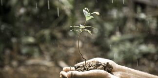 Jak postawić na rozwój?